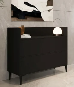Consolle Nero Antracite 2 Vani Colore Ripiano Nero 110x35x85h cm, Sfumatura Colore Struttura Antracite - Trappeto