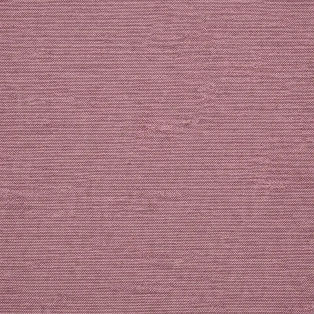Divani Letto 2 Posti|Divano Contenitore Letto > Dmora Divano Letto 2 Posti Contenitore di Apertura a Libro 240x105 cm, Reclinabile - Erbezzo Rosa