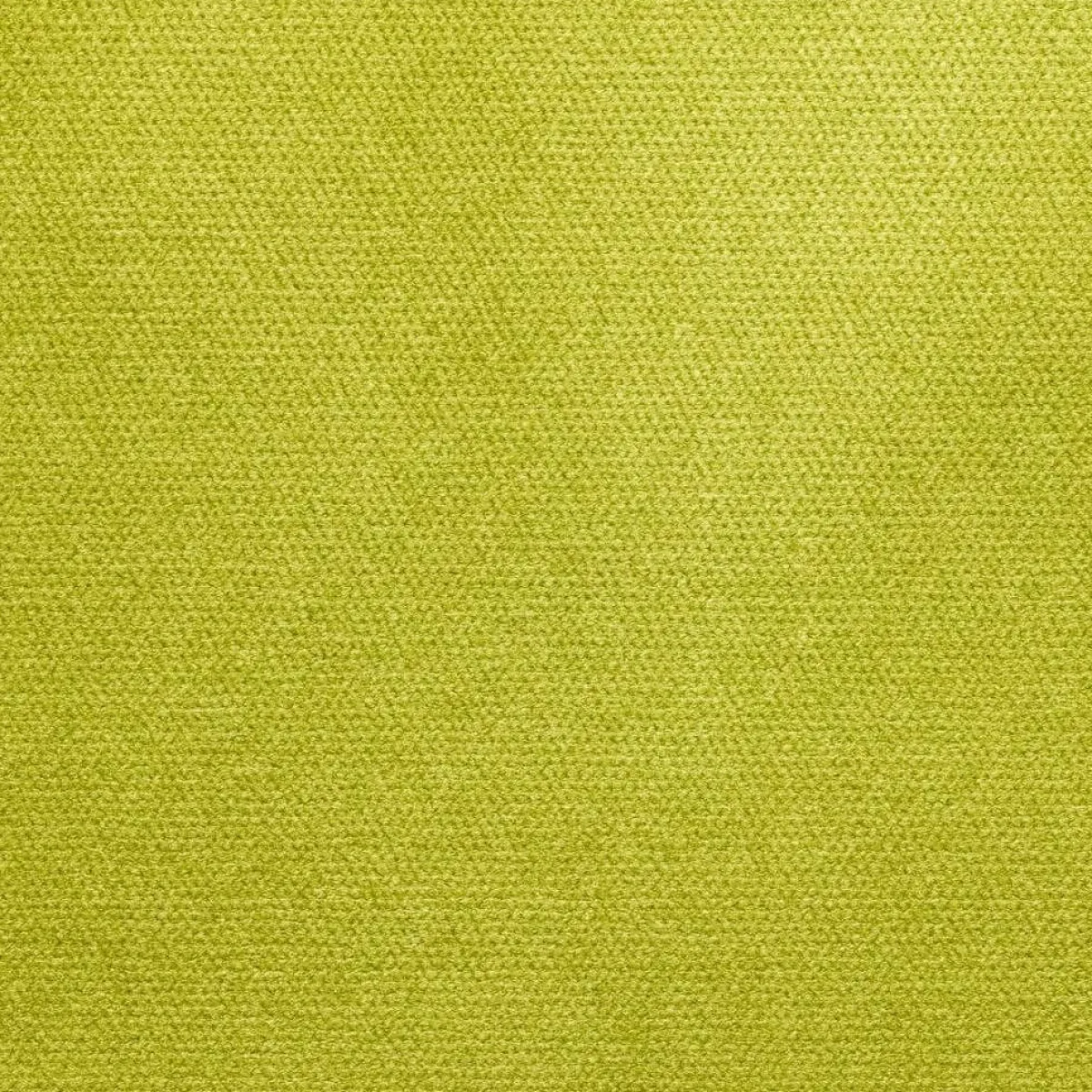Divani Letto 3 Posti|Divano Contenitore Letto > Dmora Divano Letto 3 Posti Sfoderabile Contenitore 200x95 cm, Lavabile Made in Italy - Cecina Verde