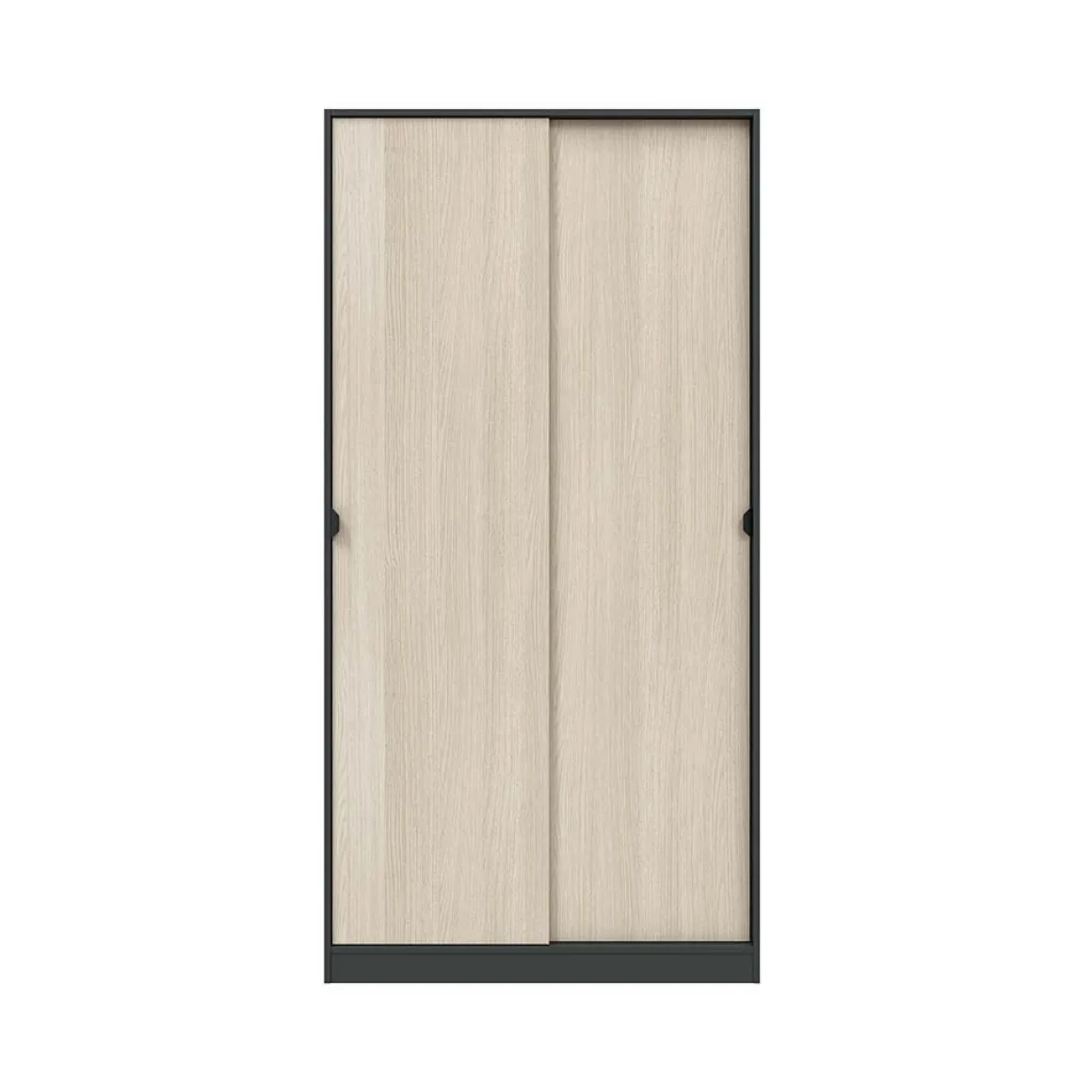 Guardaroba 2 Ante Nero Antracite Marrone Rovere 4 Ripiani Appendiabiti 100x200h cm, 2 Ante - Orgosolo