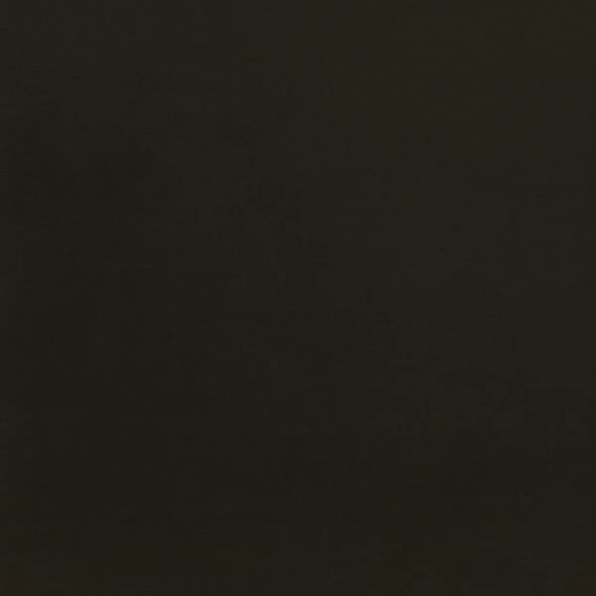 Letti Pieghevoli|Camera Da Letto > Dmora Letto singolo pieghevole design 130x50cm - Arbil Nero