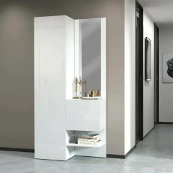 Mobili Da Ingresso|Ingresso > Dmora Mobile per ingresso 2 ante bianco 90x190h cm - Bauladu Bianco Lucido