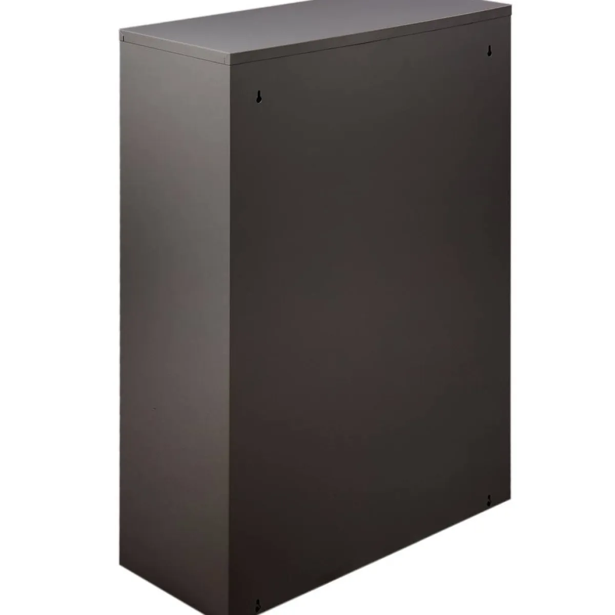 Pattumiere > Dmora Pattumiera Capacità 72 (18 per Secchio) Fissaggio a Muro Opzionale 60x25x93h cm, 4 Cestini - Anukhatun Nero