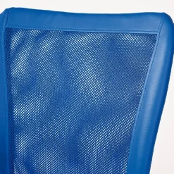 Sedia con Ruote blu Regolabile una Sedia, 5 Ruote - Falerna