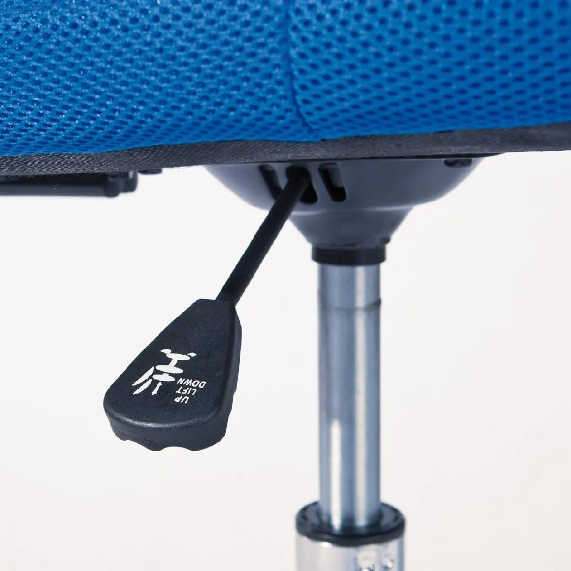 Sedia con Ruote blu Regolabile una Sedia, 5 Ruote - Falerna