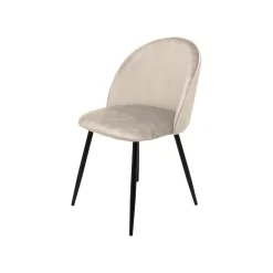 Sedie > Dmora Set di 4 sedie soggiorno imbottite in velluto - Achito Grigio Chiaro