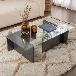 Tavolini Da Salotto|Salotto > Dmora Tavolino da Salotto Portariviste Forma Rettangolare 80x80x40h cm, Sfumatura Colore Struttura Antracite - Gran Nero Antracite