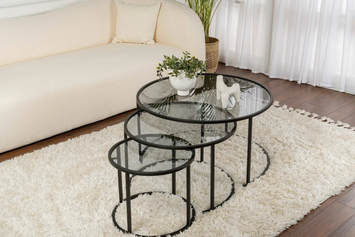 Tavolino da Salotto Nero Forma Circolare Materiale Piano in Vetro 80x80x43h cm, Colore Ripiano Trasparente - Rowan
