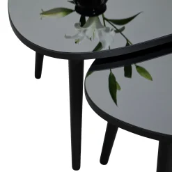 Tavolini Da Salotto > Dmora Tavolino da Salotto Piano in Vetro Temperato Forma Ovale 75x55x38h cm, Sfumatura Colore Ripiano Fume - Frontone Nero