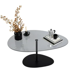 Tavolino da Salotto Nero Piano in Vetro Temperato Forma Ovale 90x60x40h cm, Sfumatura Colore Ripiano Fume - Tremiti