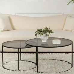 Tavolini Da Salotto > Dmora Tavolino da Salotto set di 2 Tavolini Forma Rotondo 60x60x43h cm, Materiale Piano in Vetro - Xaden Nero