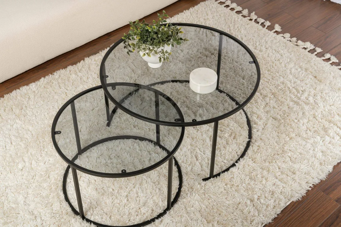 Tavolini Da Salotto > Dmora Tavolino da Salotto set di 2 Tavolini Forma Rotondo 60x60x43h cm, Materiale Piano in Vetro - Xaden Nero