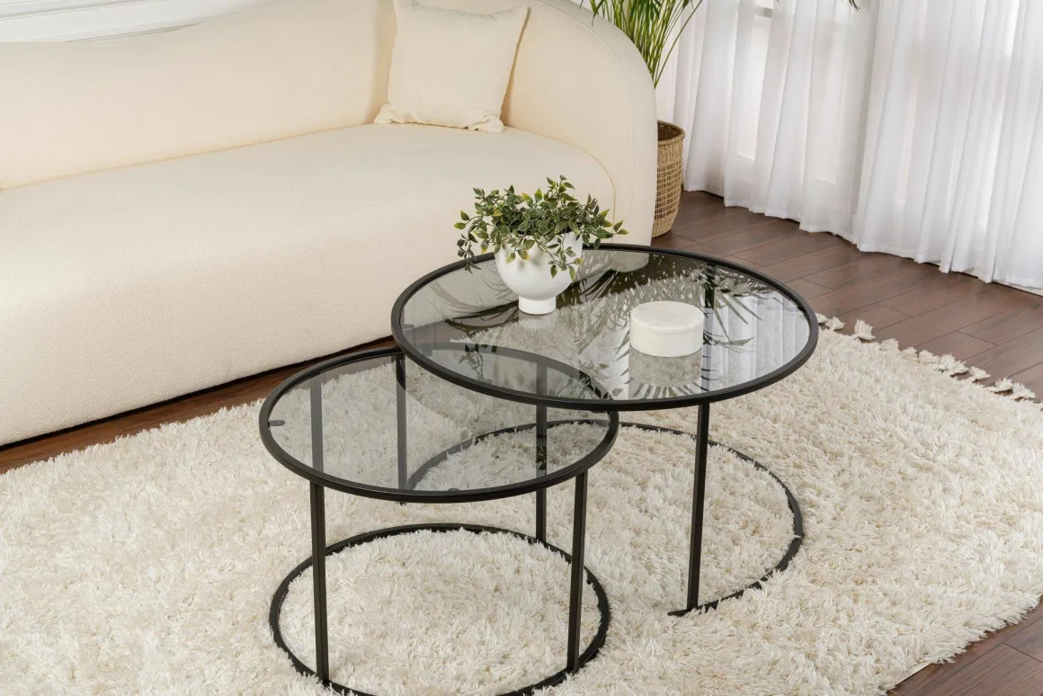 Tavolini Da Salotto > Dmora Tavolino da Salotto set di 2 Tavolini Forma Rotondo 60x60x43h cm, Materiale Piano in Vetro - Xaden Nero