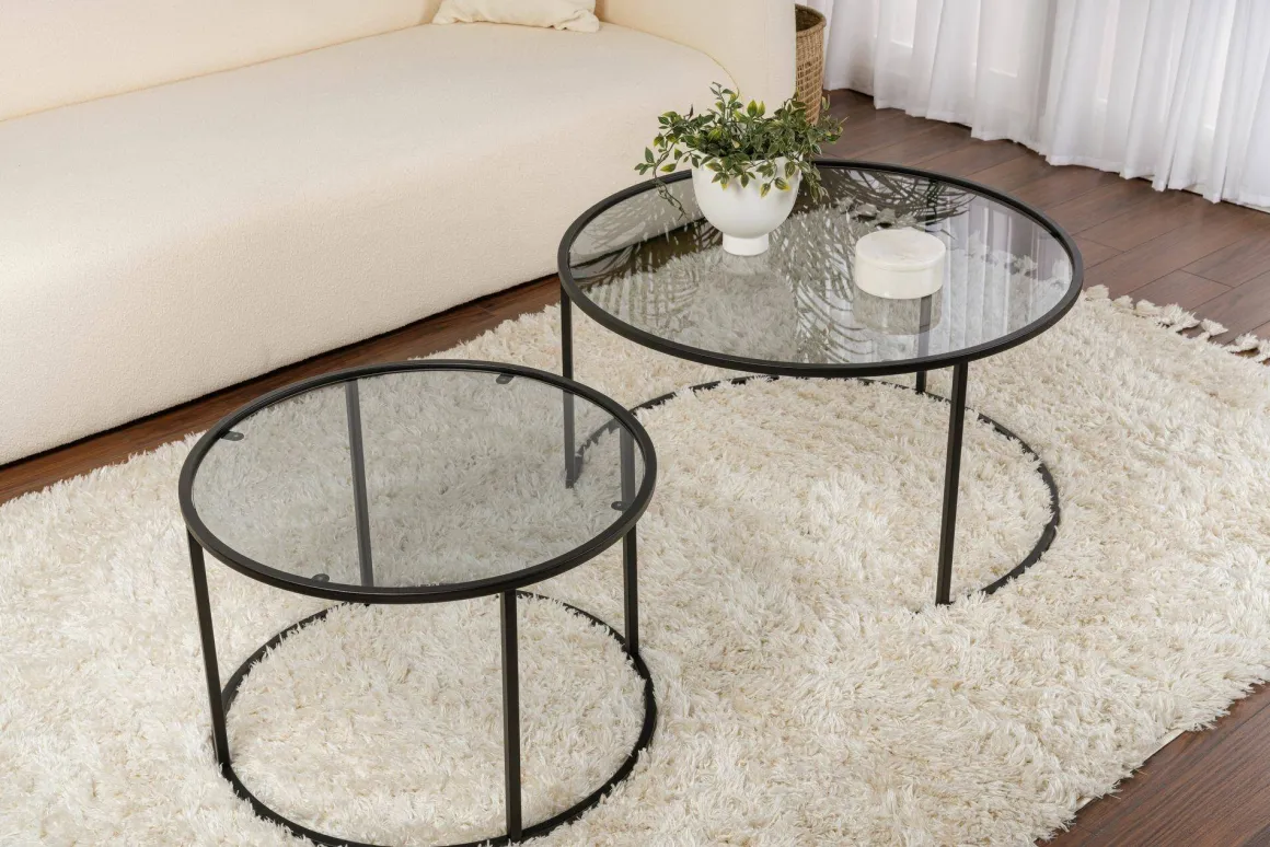 Tavolini Da Salotto > Dmora Tavolino da Salotto set di 2 Tavolini Forma Rotondo 60x60x43h cm, Materiale Piano in Vetro - Xaden Nero