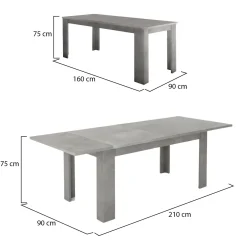Tavolo allungabile grande 8-12 posti 160/210x90cm grigio - Agenore