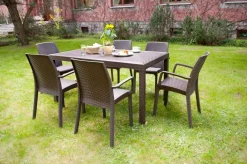 Tavoli Da Esterno|Outdoor > Dmora Tavolo da giardino 10 posti 150x90cm - Adila Marrone