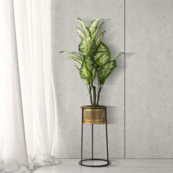 Vaso oro Nero Portavaso Rimovibile Colore Struttura Nero, - Juayua