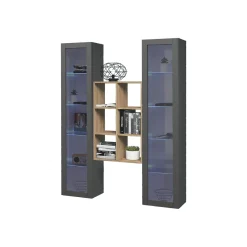 Vetrine > Dmora Vetrina 14 Ripiani Apertura Battente 40x30x180h cm, 2 Ante - Marea Nero Antracite
