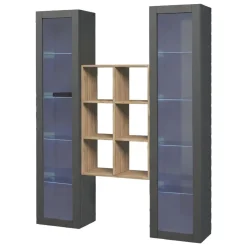 Vetrina Nero Antracite 12 Ripiani Apertura Battente 40x30x180h cm, 2 Ante - Gadoni